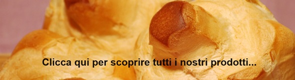 Naviga tra i nostri prodotti